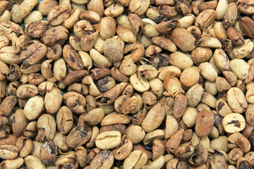 Coffee beans drying, near El Jardin, Antioquia, Colombia South America