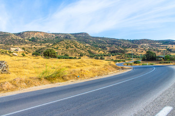 Africa,west Algeria : country  road in the mountain, green trees and plants spring time