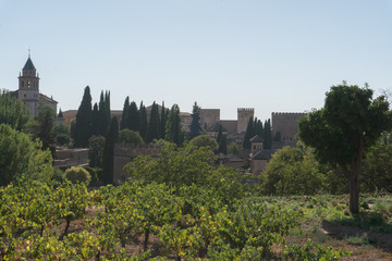 Fototapeta na wymiar Generalife's Gardens Of Granada, Andalucia Spain