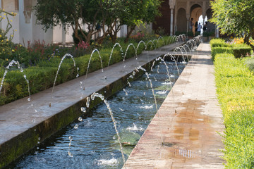 Generalife's Gardens Of Granada, Andalucia Spain