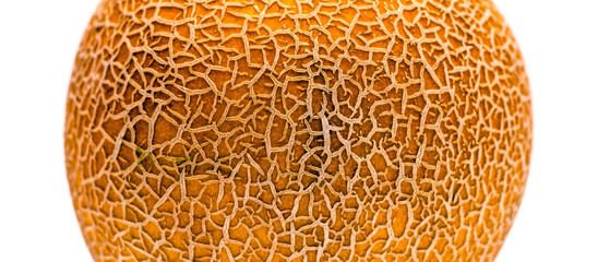 Melon on white background