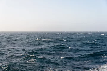 Tuinposter Stormy sea © Alexey Seafarer
