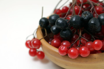 The berries of viburnum and chokeberry in a clay bowl
