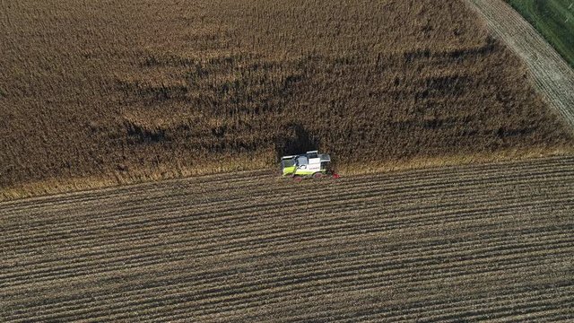 Landwirt erntet mit M&auml;hdrescher und Traktor Mais im Sp&auml;tsommer