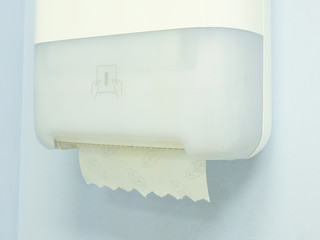 Toilet paper on a wall