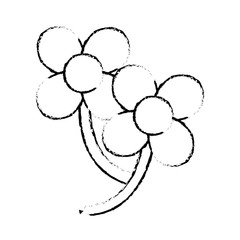 balloons in two flowers shape with petals and stem vector illustration