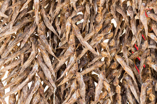 Fish preservation by drying in Ukraine Azov sea 2