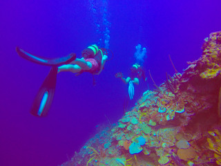 Fototapeta premium Scuba Diving Bay of Pigs