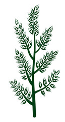 Illustration of a young tree
