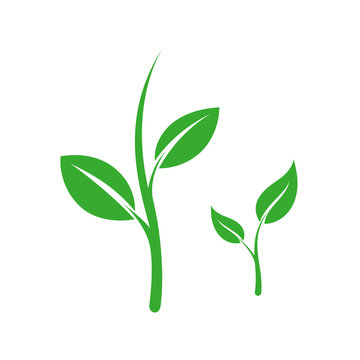 green plant sprouts on white background clip art preview