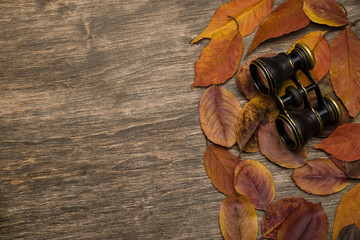 Old binoculars on a wooden background