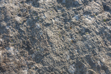 natural stone background closeup