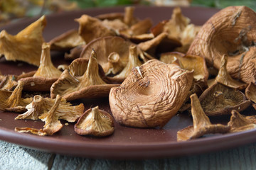 dried mushrooms, chanterelles