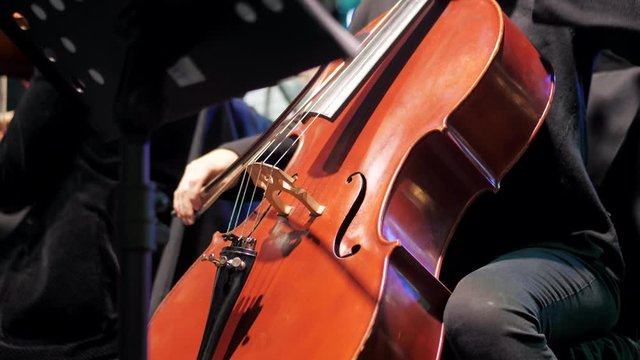 Close, full-frame detail on the hands, fingerboard and bowing technique of a professional cellist playing her instrument. 4k