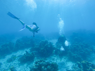 Fototapeta na wymiar Scuba Diving Bay of Pigs