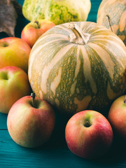 Autumn harvest concept with pumpkin apples and leaves. Thanksgiving still life