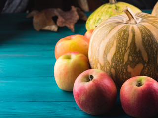 Autumn harvest concept with pumpkin apples and leaves. Thanksgiving still life