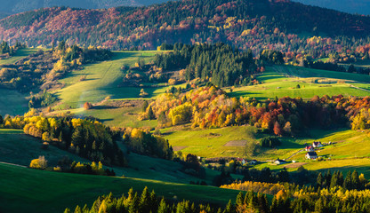 Colorful autumn country