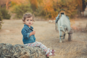 Cute little baby girl sitting on stone in central park with white horse on back ground.Child wearing blue jeans jacket and colourful tiny pants