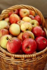 Bright tasty ripe apples in a basket