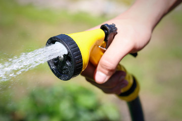 Male hand watering a green plant with water from the hose. Watering hose. Closeup