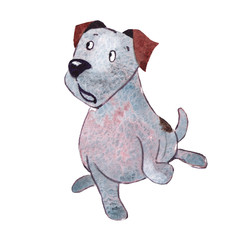 JackRussel terrier dog puppy hand drawing watercolor