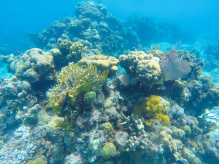 Scuba Diving Bay of Pigs