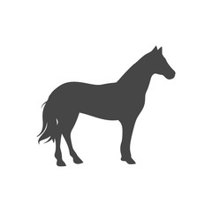 Horse silhouette - Vector - Illustration 