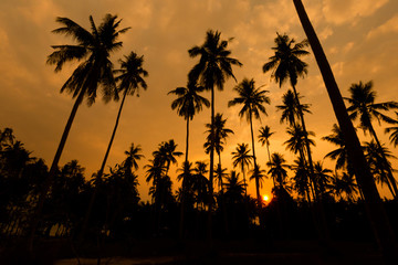 Obraz premium Tropical landscape of Koh Kood