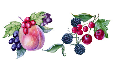 Peach with berries in a bouquet. isolated on white background. 