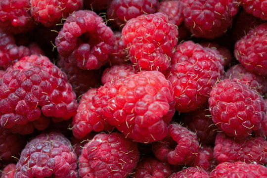 Closeup of raspberries for background/texture