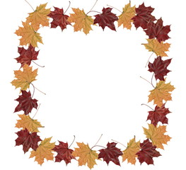 Naklejka na ściany i meble Square Leaves autumn frame with red and yellow maple leaves