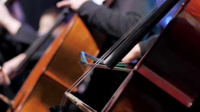 Close, full-frame detail on the hands, fingerboard and bowing technique of a professional cellist playing her instrument. 4k