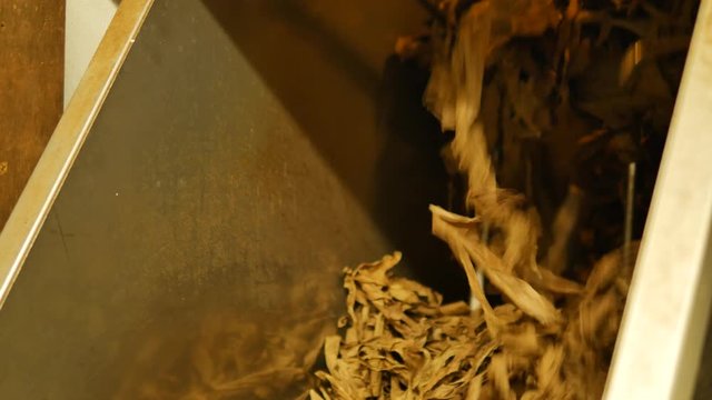 Cigar tobacco being mixed by machine inside a cigar factory – 4K