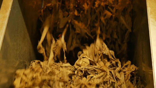 Cigar tobacco being mixed by machine inside a cigar factory &ndash; 4K