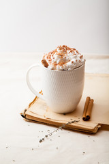 Cup of cocoa with cinnamon, whipped cream and chocolate. Textile background. Scandinavian winter concept. Vertical composition.