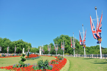 LONDON, ENGLAND - AUGUST 01, 2013: Park with green grass and bright red flowers on flowerbed near flags of United Kingdom near Buckingham palace.