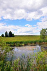 Fototapeta na wymiar landscape with river for your design