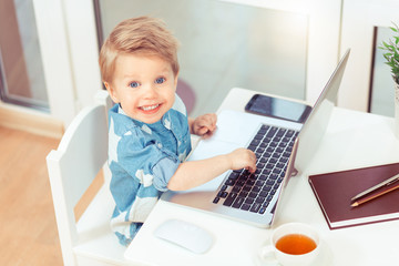 Little business blond baby boy in blue shirt sitting at a computer laptop, looking and playing at the laptop screen. Modern education concept