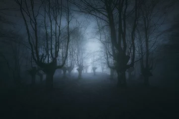 Gordijnen eng donker bos met griezelige bomen © mimadeo