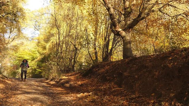 Golden autumn scene in the forest.Middle age woman wearing glasses after taking picture with smartphone of beautiful golden coloured colored trees going down the path toward camera smiling