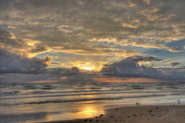 Fototapeta na wymiar Beach Sunset with Gulls