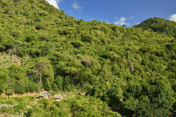 Fototapeta na wymiar Mountain range Sierra Maestra on Cuba