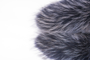Natural fur on a white background