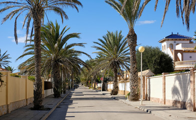 Fototapeta na wymiar Empty palm-lined street of Cabo Roig. Spain