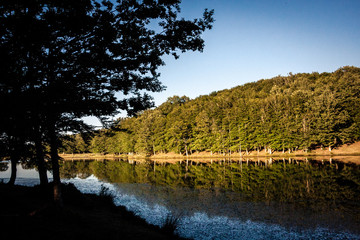 A beech forest and a lake with trees reflected in the water and blue sky. Dense forest. Maullazzo lake, Nebrodi Natural Park (Sicily)