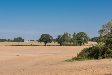 Fototapeta na wymiar Blick über weite Landwirtschaftsfläche nahe der Ostsee bei der Insel Rügen