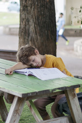 The schoolboy fell asleep on a workbook with his homework on the desk in the park