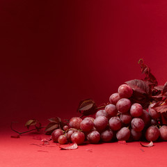 a bunch of ripe grapes on a red background