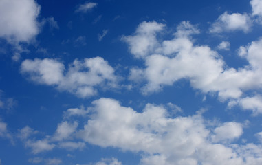 Naklejka na ściany i meble 青空と雲「空想・雲のモンスター」（仲間たちと一緒に、みんなと一緒になどのイメージ）